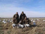 snow goose hunting Missouri