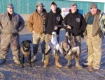 spring snow goose hunting