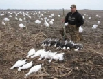 guided goose hunts