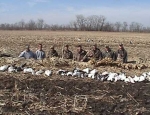 guided snow goose hunts