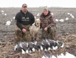 snow goose hunting guide