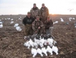 spring snow goose hunts