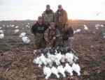 snow goose hunting Missouri