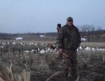 guided goose hunts