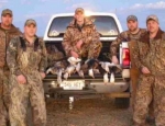 guided snow goose hunts