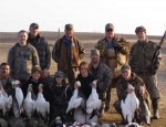 spring snow goose hunting