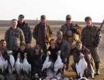 spring snow goose hunting