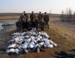 snow goose hunting Missouri