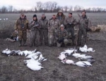 guided snow goose hunts