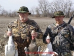 snow goose hunting Missouri