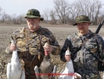 snow goose hunting Missouri