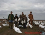 guided snow goose hunts