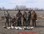 spring snow goose hunting