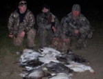 spring snow goose hunting