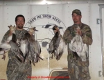 spring snow goose hunts