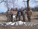 spring snow goose hunting