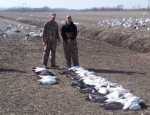 snow goose hunting guide