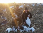 snow goose hunting Missouri