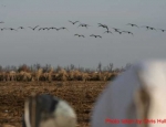 Missouri waterfowl hunting