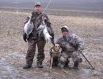 spring snow goose hunting