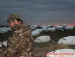 guided snow goose hunts