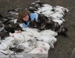 spring snow goose hunting