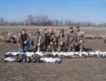 spring snow goose hunting