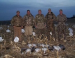 guided snow goose hunts