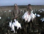 spring snow goose hunts