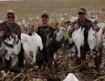 spring snow goose hunting