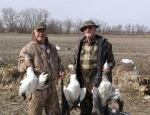 spring snow goose hunts