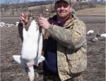 guided snow goose hunts