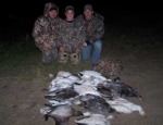 spring snow goose hunts