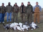 guided snow goose hunts