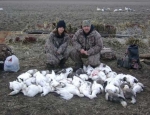 spring snow goose hunting