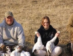 spring snow goose hunting