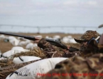 guided snow goose hunts