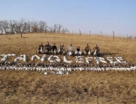 spring snow goose hunting