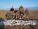 spring snow goose hunting