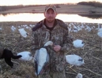 spring snow goose hunting