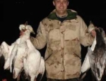 spring snow goose hunts