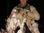 spring snow goose hunting