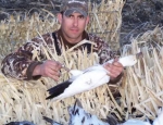 snow goose hunting Missouri