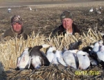 spring snow goose hunting