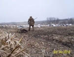 waterfowl hunting guide Missouri