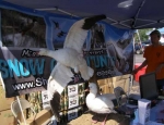 guided Missouri goose hunting