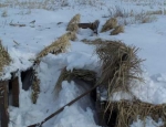 snow goose hunting Missouri