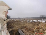 snow goose hunting Missouri