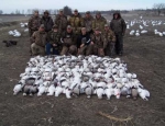 spring snow goose hunting