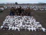 snow goose hunting Missouri